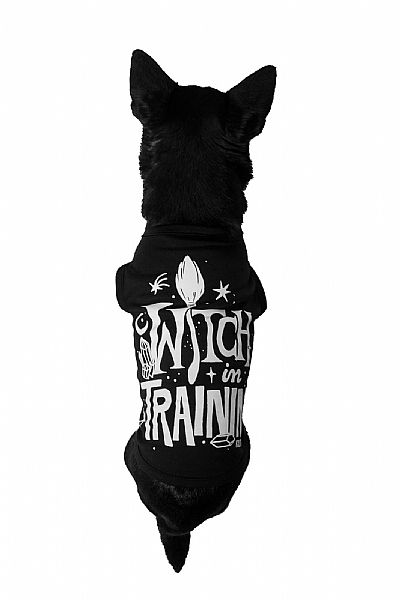 Witch In Training Pet Vest